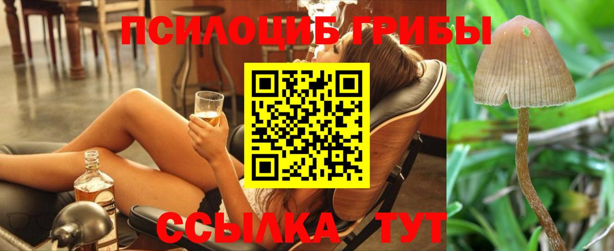 Псилоцибиновые грибы мицелий Выкса