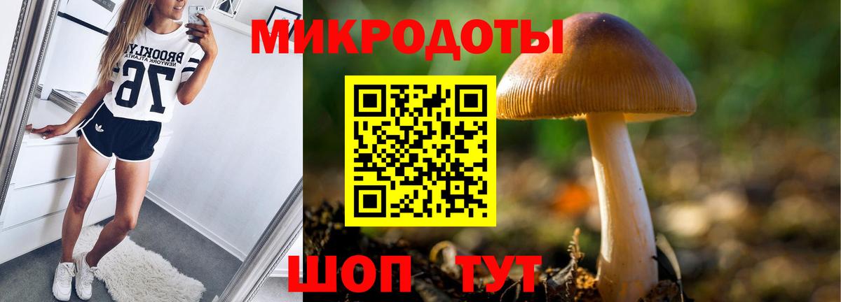 Выкса  Галлюциногенные грибы Cubensis  Вход с VPN 